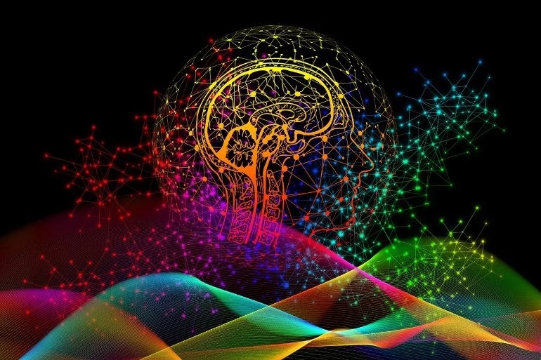 Riflessioni sul cervello e il nostro potenziale: lo usiamo consapevolmente?